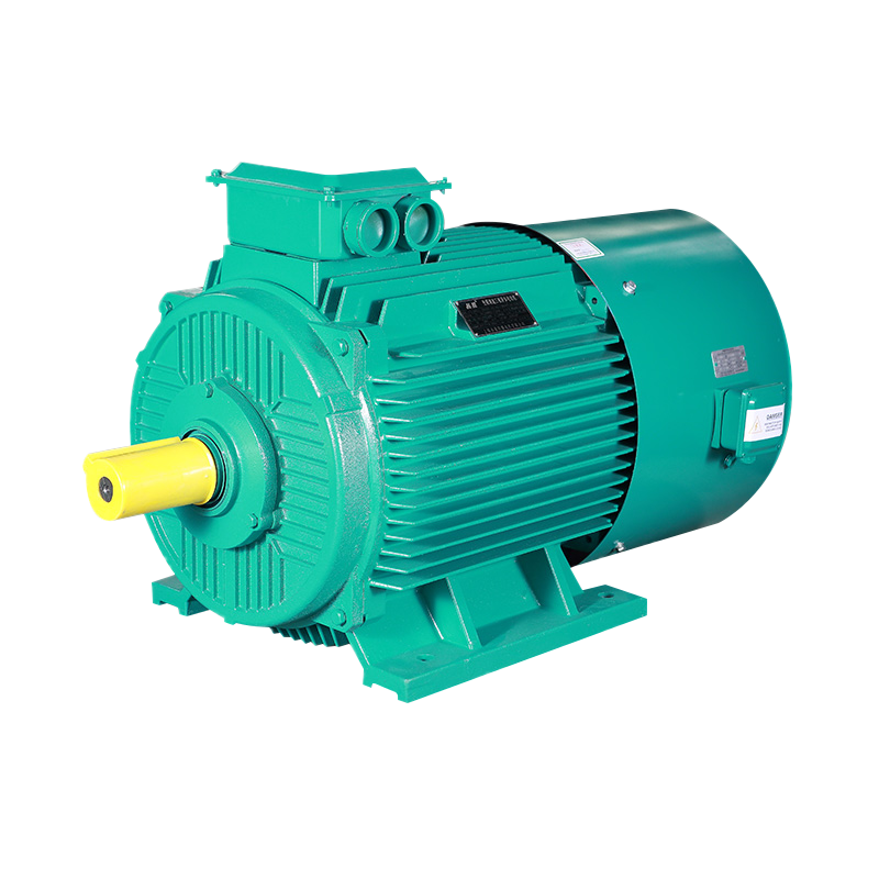 YPT Series trefasinduktionsmotor (H80-355mm)